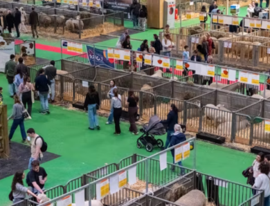 Le Salon de l&rsquo;agriculture en chiffres clés